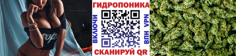 Купить закладку ГАШИШ  Конопля  Кокаин  МЕФ  Урюпинск