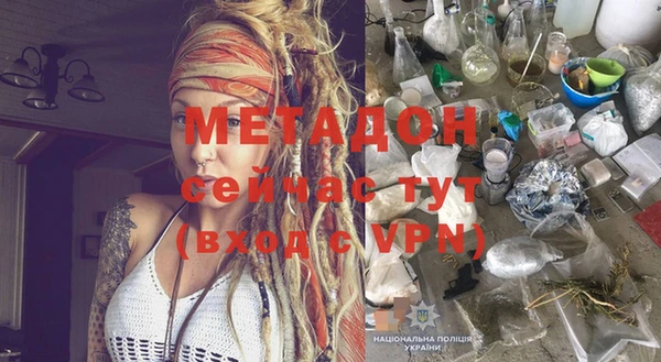 прущие грибы Заволжск