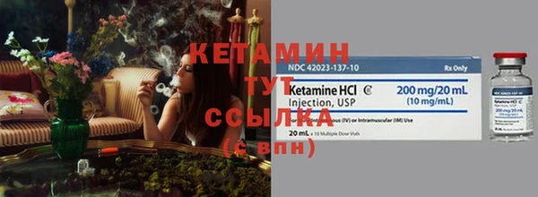 прущие грибы Заволжск