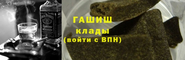 прущие грибы Заволжск
