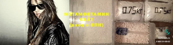 прущие грибы Заволжск