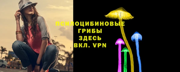 прущие грибы Заволжск