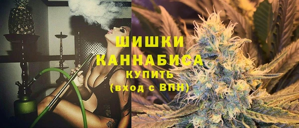 прущие грибы Заволжск