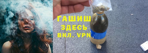 прущие грибы Заволжск
