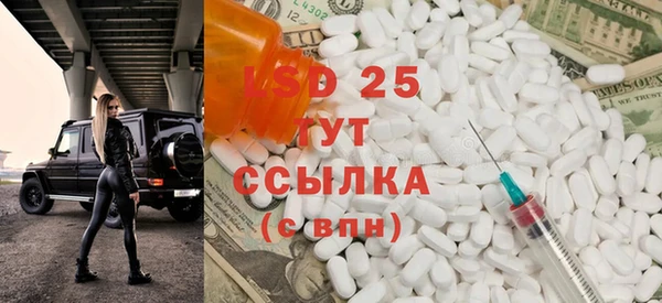 прущие грибы Заволжск