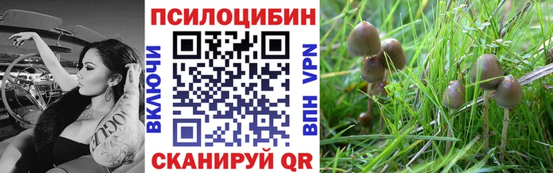 Купить где  Урюпинск  Псилоцибиновые грибы мицелий 